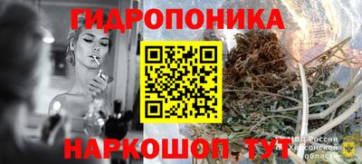 скорость Заволжье