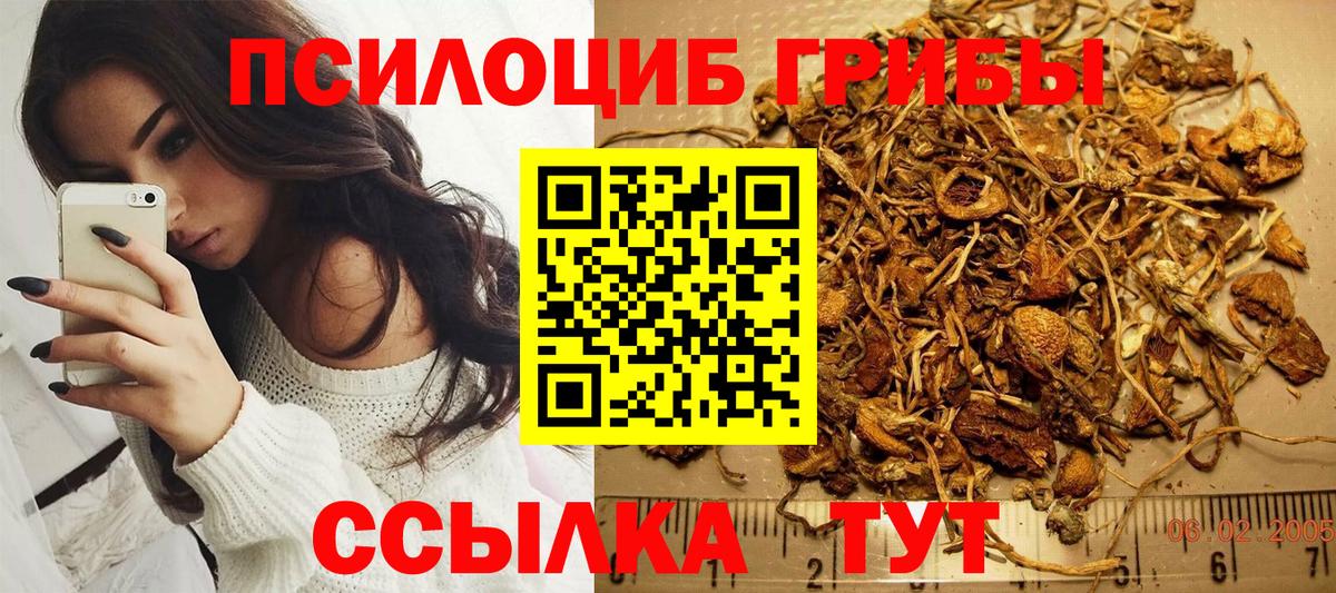 Галлюциногенные грибы Magic Shrooms  Галлюциногенные грибы Cubensis  Вход с VPN  Миллерово 