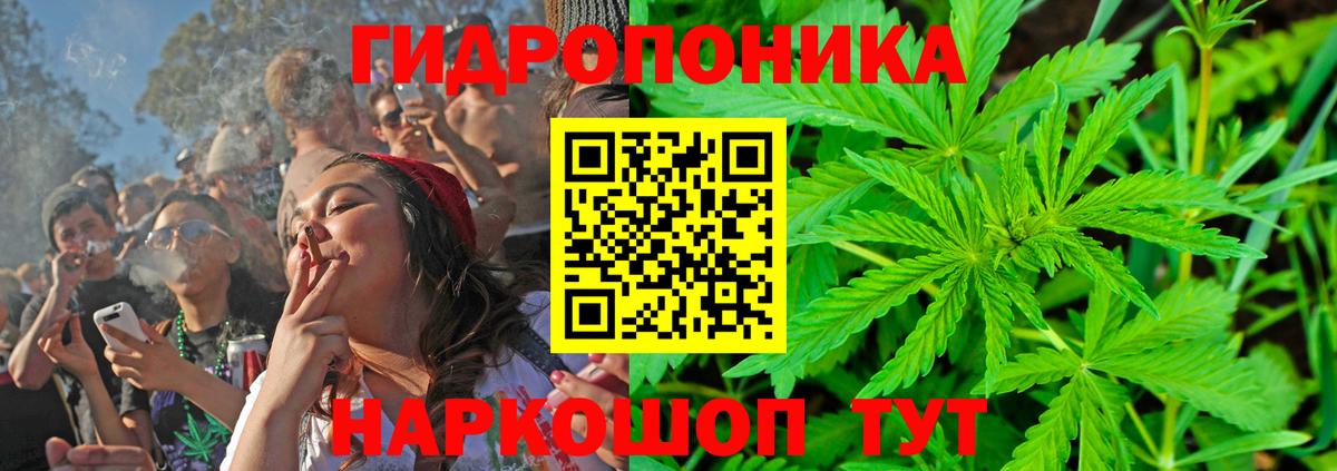 Канабис план  Вход с VPN  Бошки Шишки индика  Бошки Шишки планчик  Миллерово 